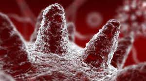 Cleanroom Microbiology 101: Identifying & Controlling Sources of Contamination - Blue Thunder Technologies