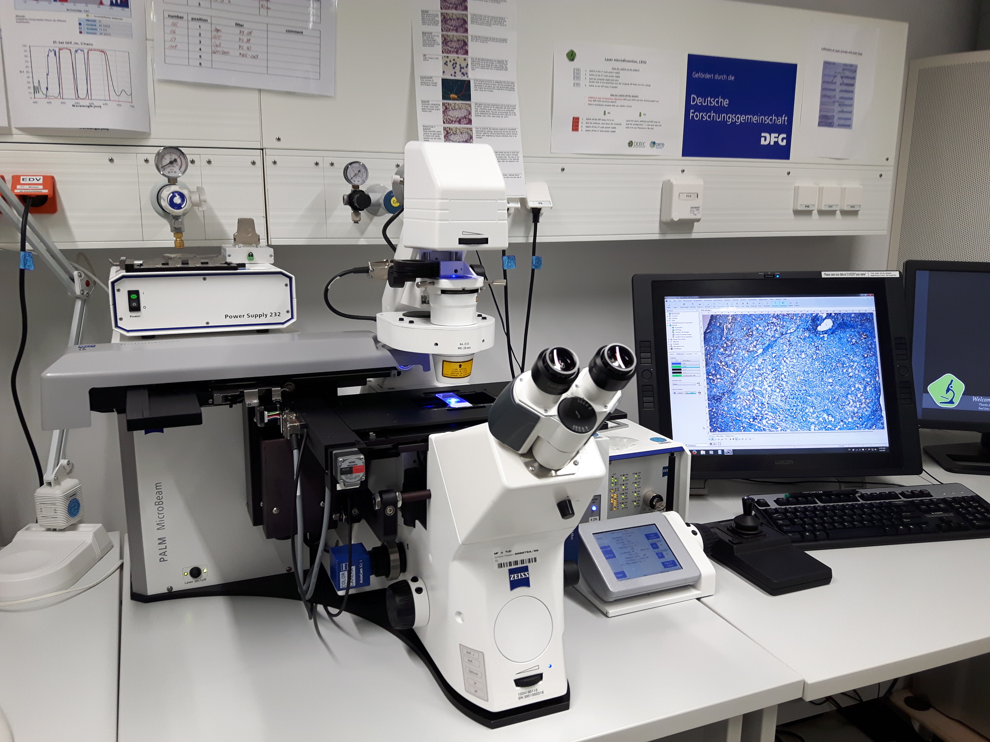 Light Microscopes Light Microscopes
