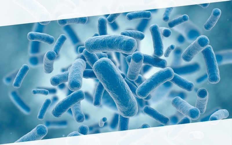 Contamination in cleanroom: How many types and where does it come from Contamination in cleanroom: How many types and where does it come from