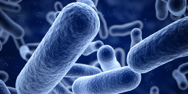 Clean Air In; Viruses and Bacteria Out: Protection By HEPA Filtration Clean Air In; Viruses and Bacteria Out: Protection By HEPA Filtration