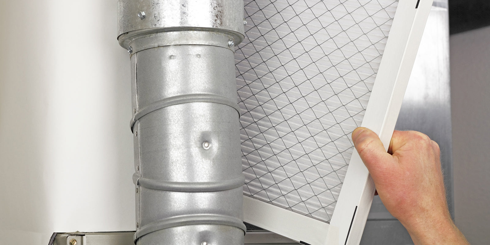 Will an Electrostatic Air Filter Keep My House Allergen-Free? - Molekule Will an Electrostatic Air Filter Keep My House Allergen-Free? - Molekule