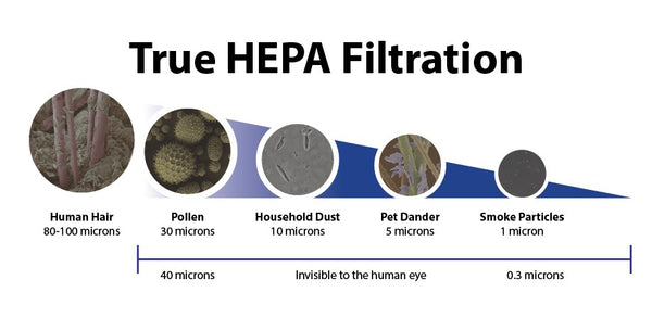 True HEPA Filtration in Air Purifiers | LivePure True HEPA Filtration in Air Purifiers | LivePure