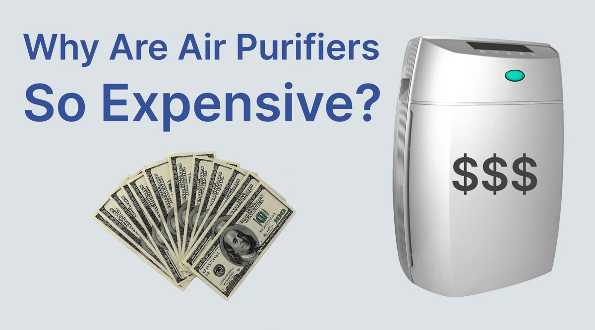 Why-are-air-purifiers-so-expensive (1).jpg Why-are-air-purifiers-so-expensive (1).jpg