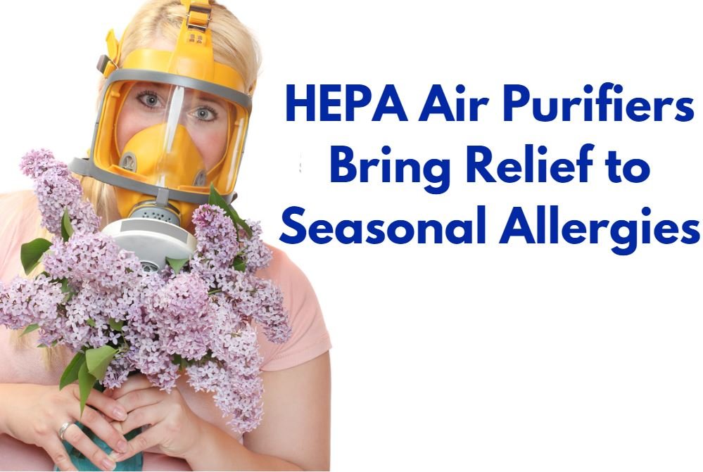Do Air Purifiers Really Work for Allergies Do Air Purifiers Really Work for Allergies
