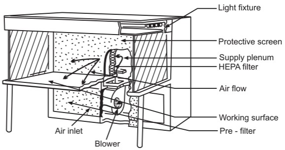 6af2bbd477e4eefd694d93c62e98e77e_Horizontal-laminar-airflow-bench.jpeg 6af2bbd477e4eefd694d93c62e98e77e_Horizontal-laminar-airflow-bench.jpeg