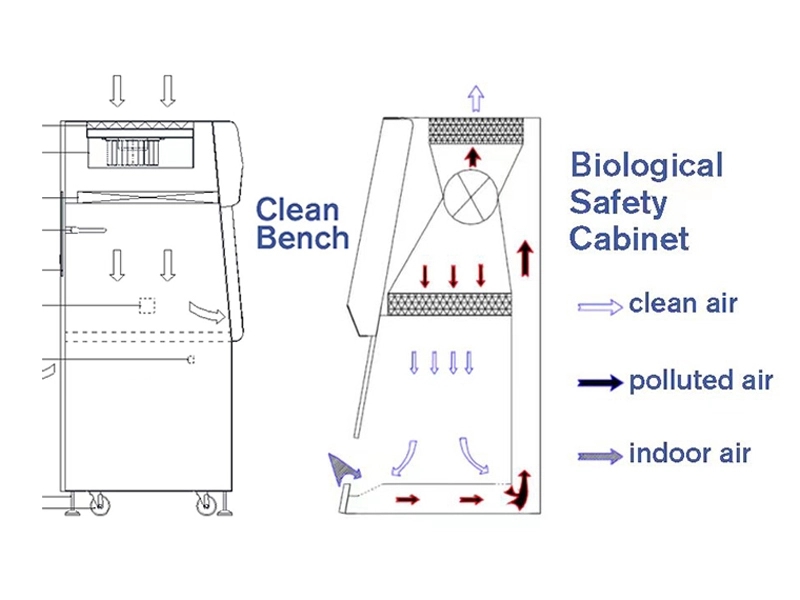 943fe8c9695532d9b041af9b7c6ce892_Clean-Bench-VS-Biological-Safety-Cabinet.jpg 943fe8c9695532d9b041af9b7c6ce892_Clean-Bench-VS-Biological-Safety-Cabinet.jpg