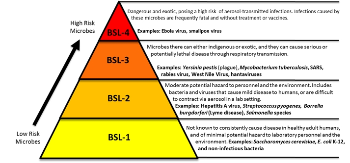 81e74356dfe21dd518f3797bcfdb2154_Section2.1.7-biosafetylevels.png