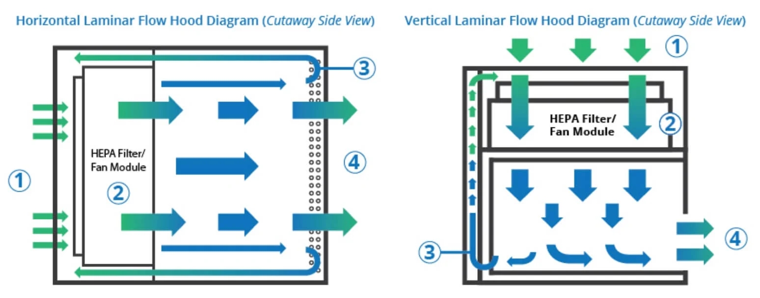 6049da98c9eac41253e27b2df8949208_Principle-Working-of-Laminar-flow-hood.jpg 6049da98c9eac41253e27b2df8949208_Principle-Working-of-Laminar-flow-hood.jpg