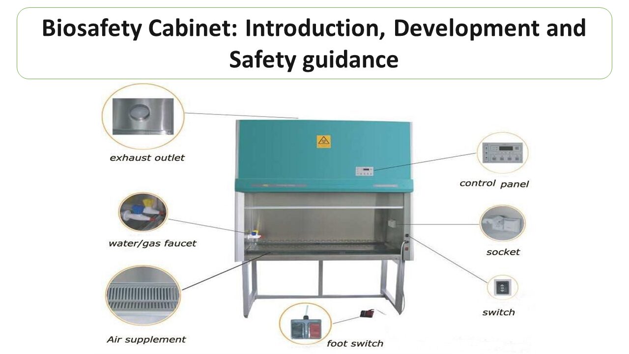 7a955359fd5d5d934bf12e4b1c134468_Biosafety-Cabinet-Introduction-Development-and-Safety-guidance.jpg 7a955359fd5d5d934bf12e4b1c134468_Biosafety-Cabinet-Introduction-Development-and-Safety-guidance.jpg