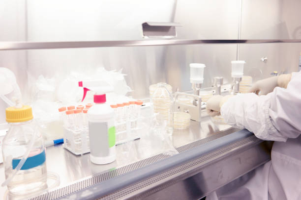 319c9f9759dd286f726b7567bf609990_microbiology-lab_s=612x612&w=0&k=20&c=kR089mjMhmUPcv1W0hzbjVluCGipdqGO4fImwPYd7Y8=.jpg