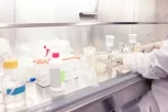 319c9f9759dd286f726b7567bf609990_microbiology-lab_s=612x612&w=0&k=20&c=kR089mjMhmUPcv1W0hzbjVluCGipdqGO4fImwPYd7Y8=.jpg 319c9f9759dd286f726b7567bf609990_microbiology-lab_s=612x612&w=0&k=20&c=kR089mjMhmUPcv1W0hzbjVluCGipdqGO4fImwPYd7Y8=.jpg