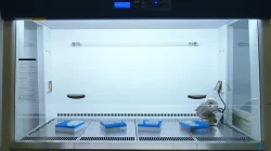 e873817bfd64b6b454e1a30629ae1c2c_laminar-flow-cabinet.jpg e873817bfd64b6b454e1a30629ae1c2c_laminar-flow-cabinet.jpg