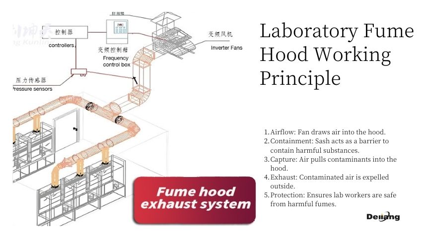 Laboratory Fume Hood Working Principle.jpg Laboratory Fume Hood Working Principle.jpg