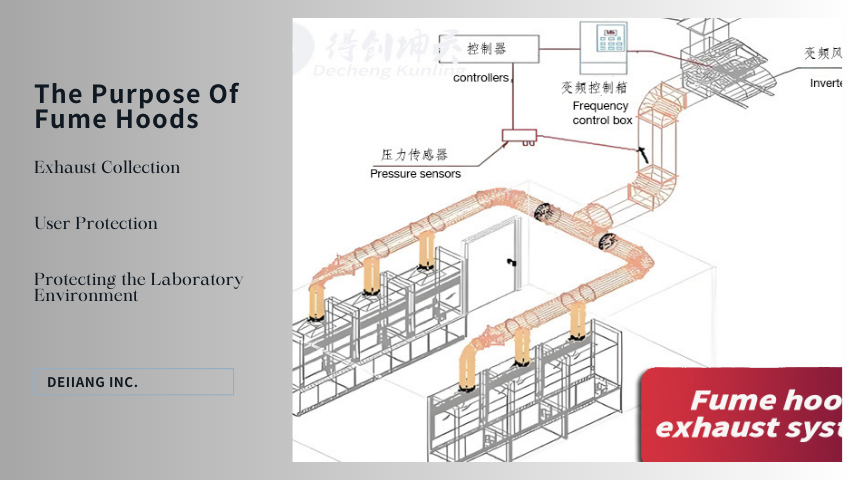 The Purpose Of Fume Hoods (1).png The Purpose Of Fume Hoods (1).png