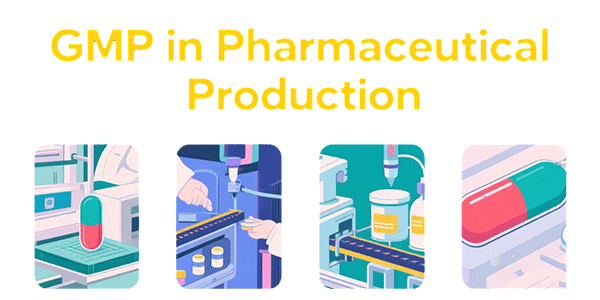 GMP-in-Pharmaceutical-Production.png GMP-in-Pharmaceutical-Production.png