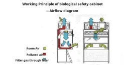 How Biosafety Cabinets Work How Biosafety Cabinets Work