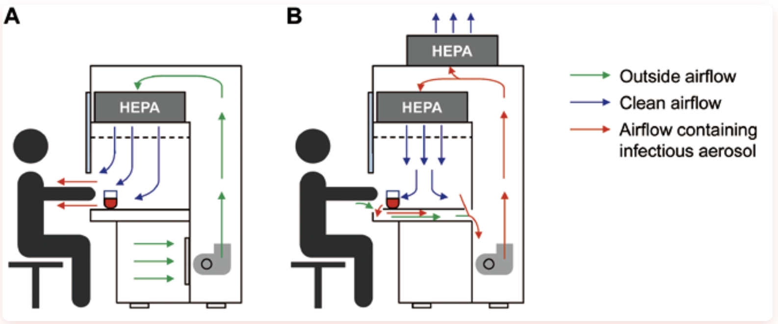 the Difference Between a Clean Bench and a Biosafety Cabinet the Difference Between a Clean Bench and a Biosafety Cabinet