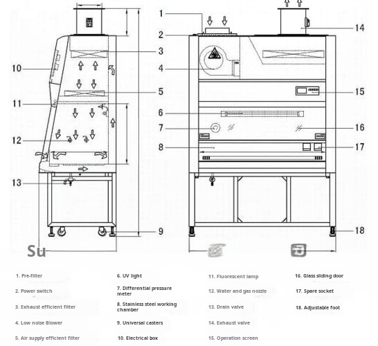 Internal Structure of Biosafety Cabinets Internal Structure of Biosafety Cabinets