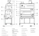 Internal Structure of Biosafety Cabinets Internal Structure of Biosafety Cabinets