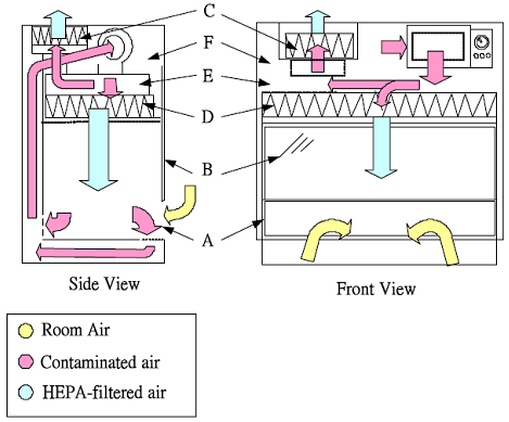 Working Principle of Biosafety Cabinets Working Principle of Biosafety Cabinets