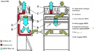 the Airflow in Biosafety Cabinets the Airflow in Biosafety Cabinets