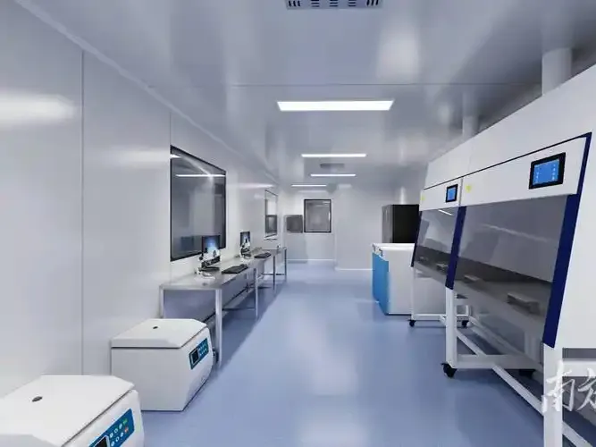 Stem Cell Laboratory.jpg