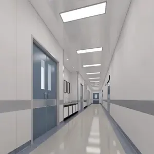 Aseptic corridors and high‑risk rooms Lights.webp