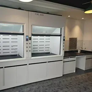 Biotechnology-Cell-Gene-Therapy-Labs-Steel-Fume-Hood.webp