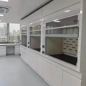 Chemical-Research-Industrial-R&D-Steel-Fume-Hood.webp