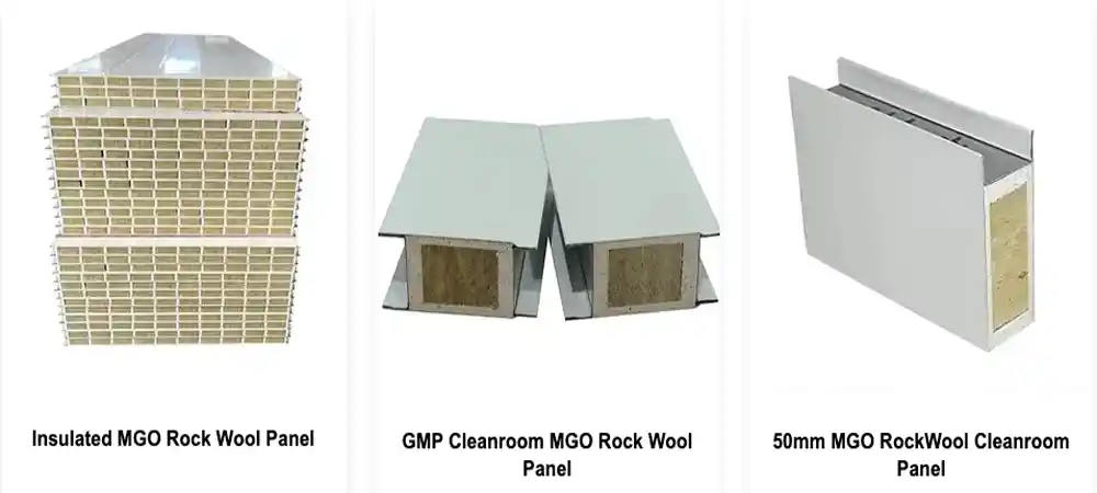 Wall and Ceiling Materials for Food Processing Cleanrooms.webp