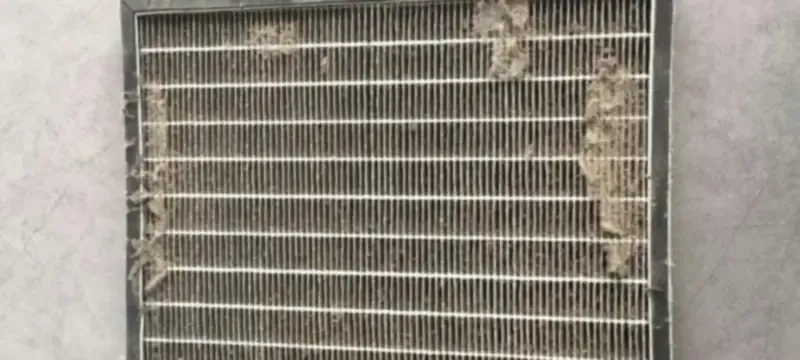 Damaged HEPA filter pleats showing the premature media failure seen in the field Damaged HEPA filter pleats showing the premature media failure seen in the field