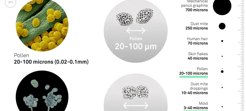 Allergen particle size range chart pollen dust mite Allergen particle size range chart pollen dust mite