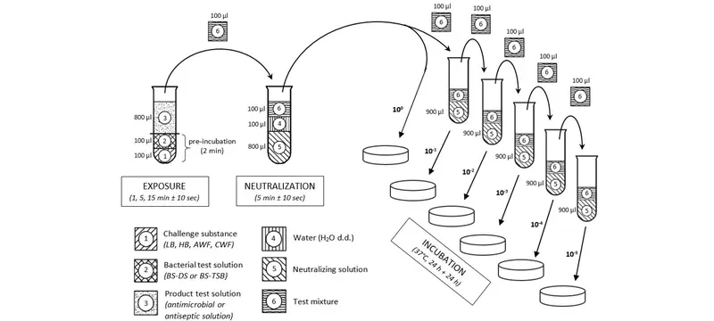 Antimicrobial efficacy test method verification Antimicrobial efficacy test method verification
