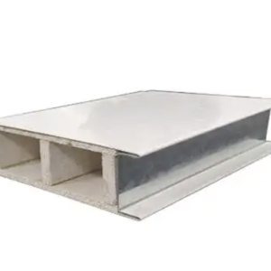 Deiiang™ Magnesium Sandwich Cleanroom Panel